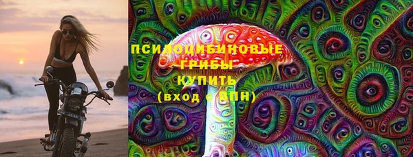 шишки Бронницы